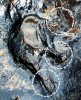 В Южной Корее найден самый крупный в мире след птерозавра