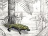 Fedexia striegeli – амфибия, жившая в конце каменноугольного периода