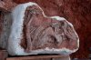 В Бразилии найден хорошо сохранившийся скелет престозуха Prestosuchus chiniquensis