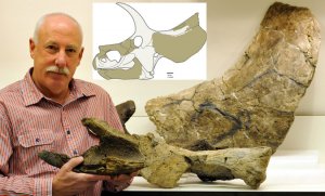 Ojoceratops fowleri - новый вид рогатых динозавров?
