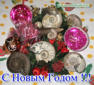Палеонтологический обзор 2010