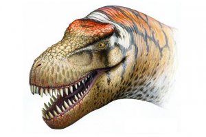 Zhuchengtyrannus magnus - родственник тарбозавра из Китая