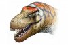 Zhuchengtyrannus magnus - родственник тарбозавра из Китая