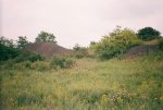 Каменск - Шахтинский.оп 1043 км СКЖД.