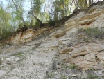Старицкий р-н, р.Холохольня