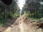 Бахчисарайский район - село Счастливое
