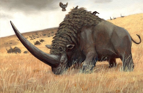 Paleoalex
