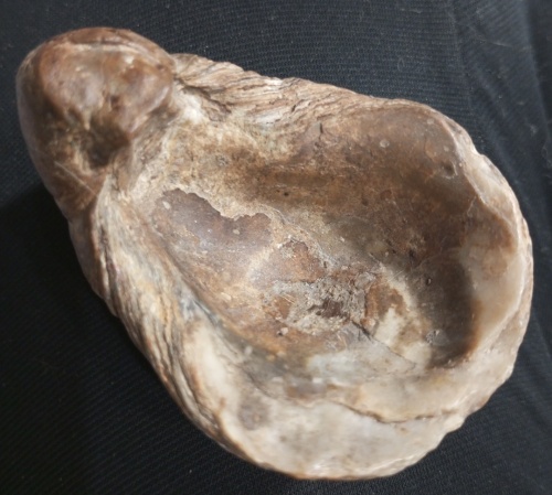 slobozeva