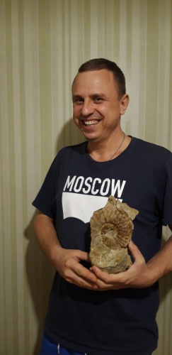 tdima82