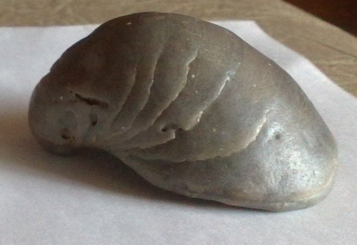 rexar
