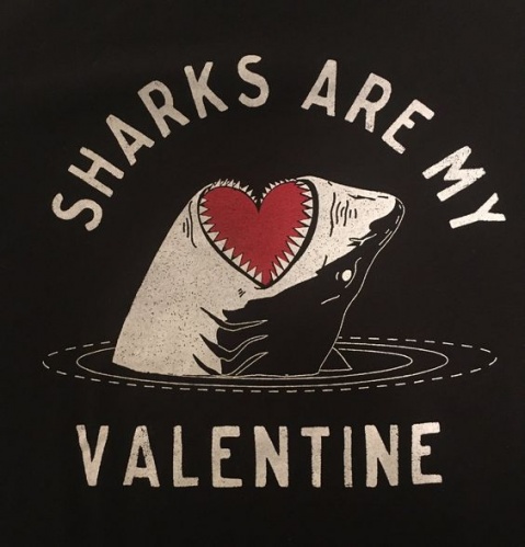 sharklover