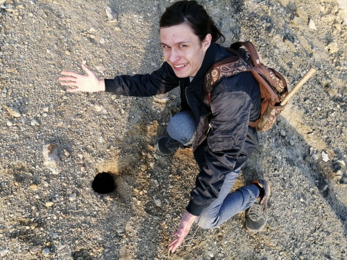 Davydov