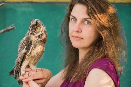 HagOwl